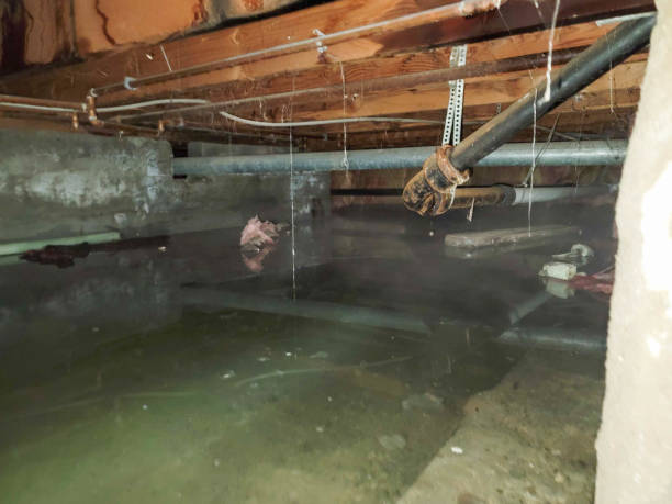 Best Commercial water damage restoration  in Juno Ridge, FL