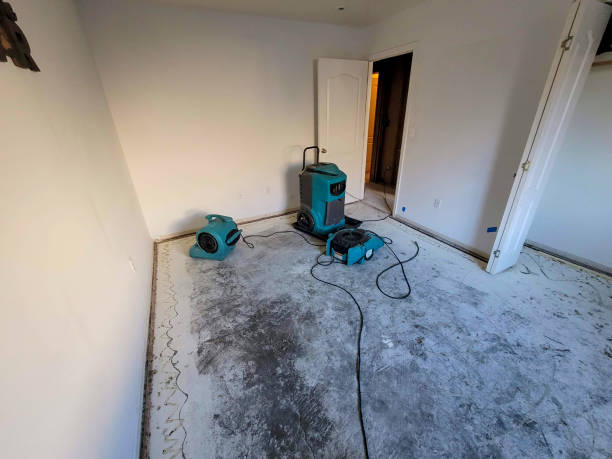 Best Flooded house restoration  in Juno Ridge, FL