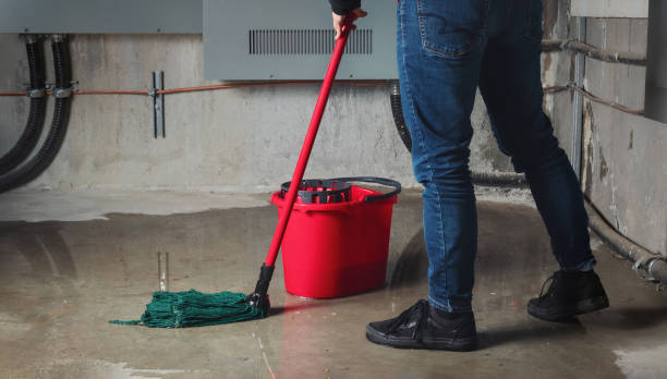 Best 24-hour water damage restoration  in Juno Ridge, FL
