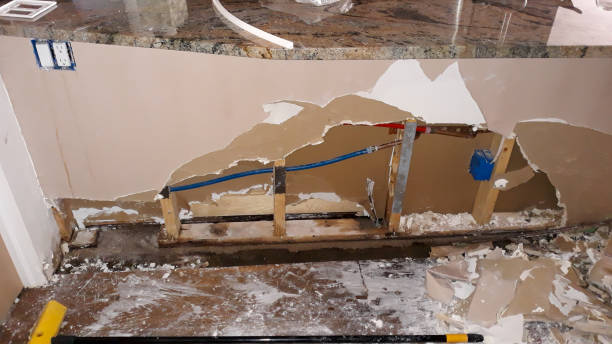 Best Water damage cleanup near me  in Juno Ridge, FL