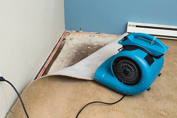Best Carpet water damage restoration  in Juno Ridge, FL